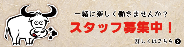 スタッフ募集中